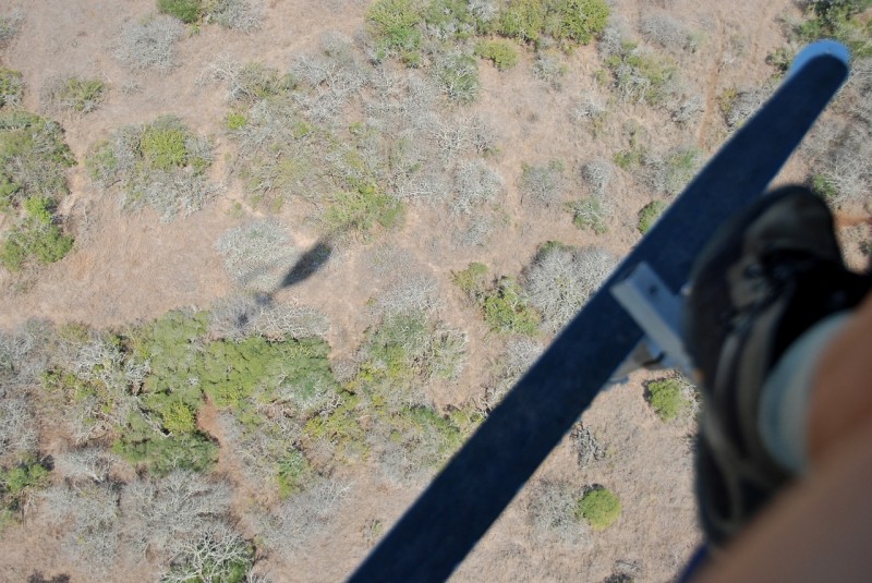 Helikoptertur över Thanda